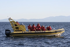 Prince of Whales Zodiac Boat